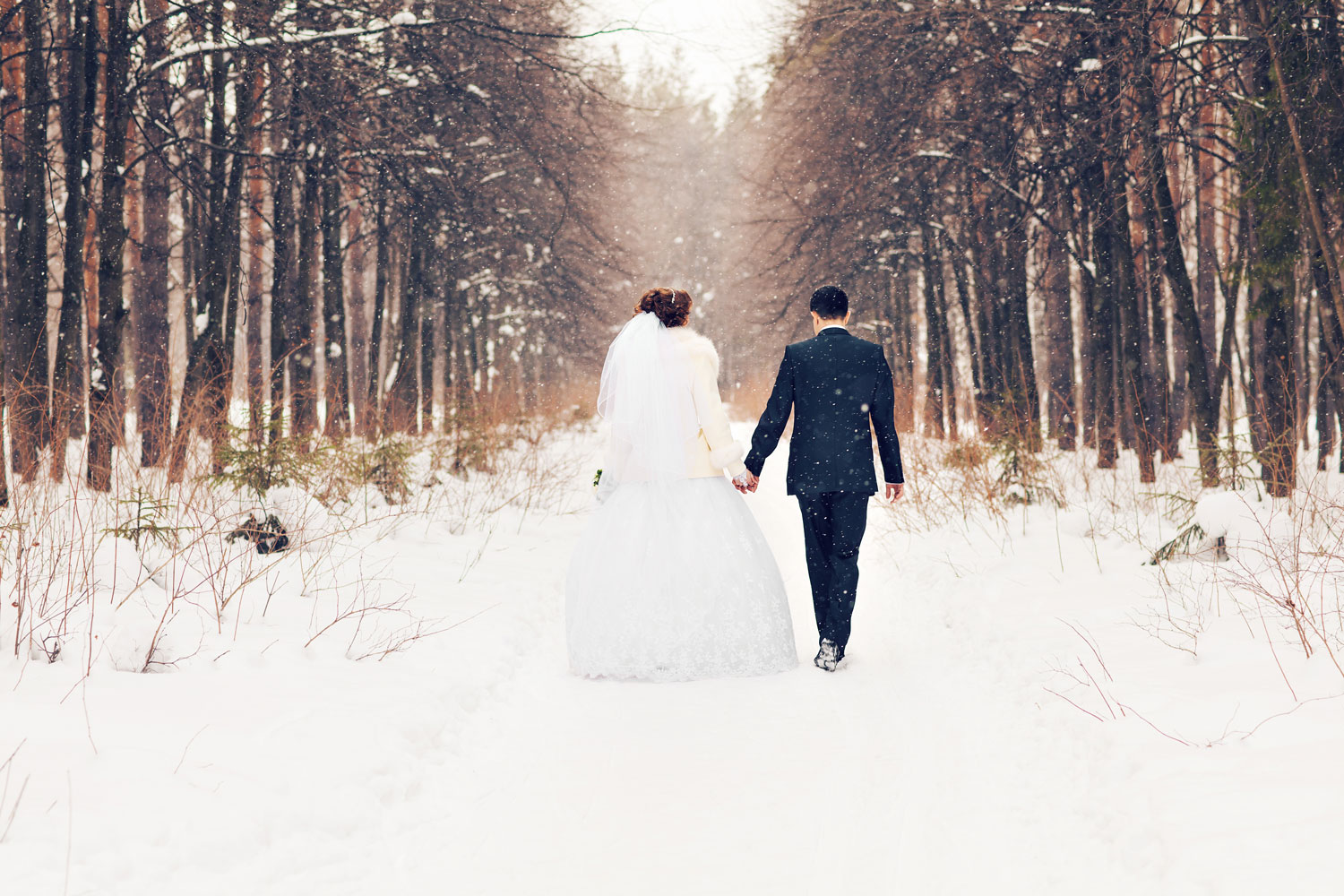 A Wedding for All Seasons - Gallery Image #329